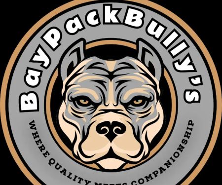 BaypackBullys