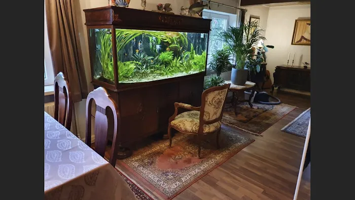 Aquazul Tropical Fish LLC Picture 10