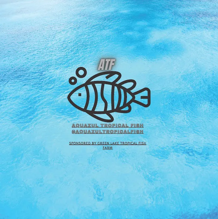 Aquazul Tropical Fish LLC Picture 7