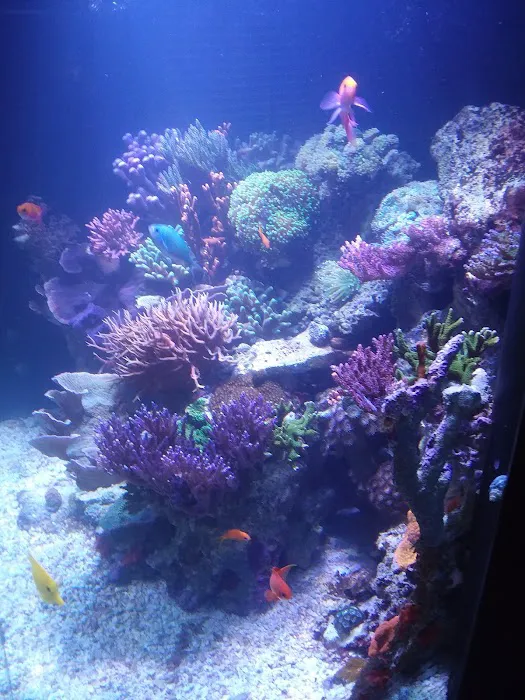 AGA Aquarium Service Picture 6