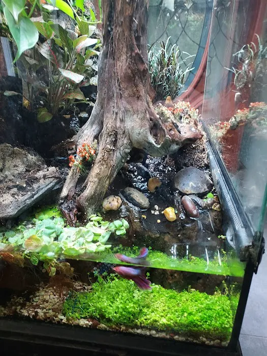 AGA Aquarium Service Picture 5