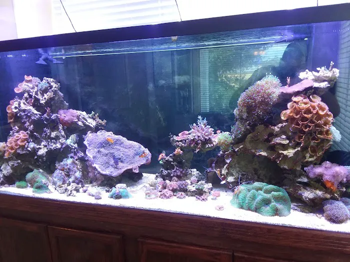 AGA Aquarium Service Picture 1
