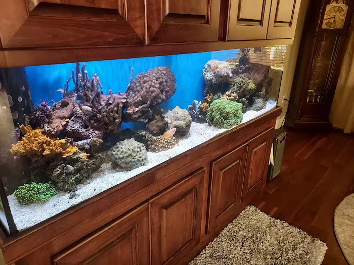 AGA Aquarium Service Picture 7