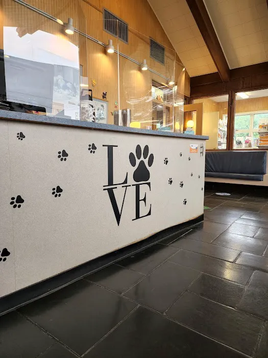 VCA East Meadow Animal Hospital Picture 9