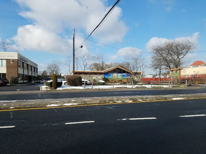 VCA East Meadow Animal Hospital Picture 2