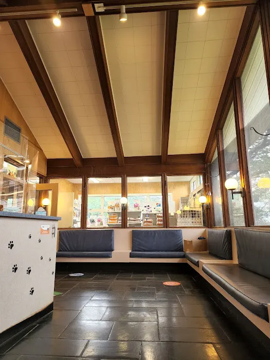 VCA East Meadow Animal Hospital Picture 6