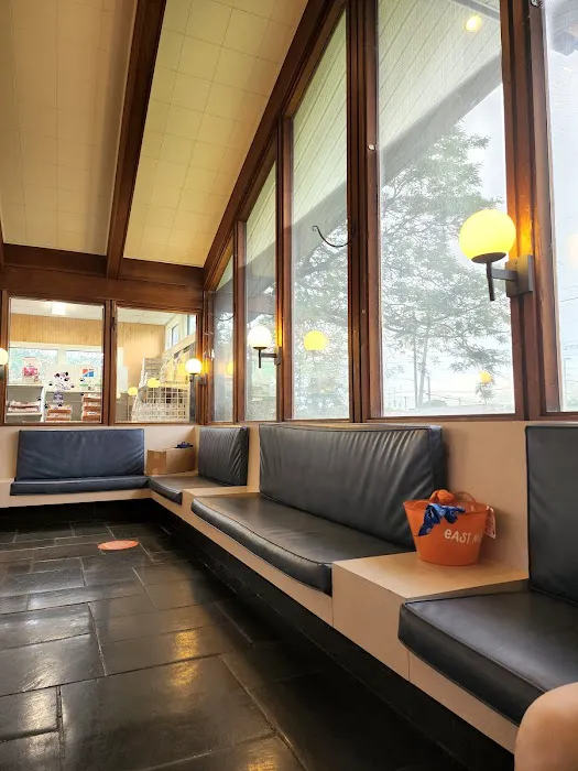 VCA East Meadow Animal Hospital Picture 10