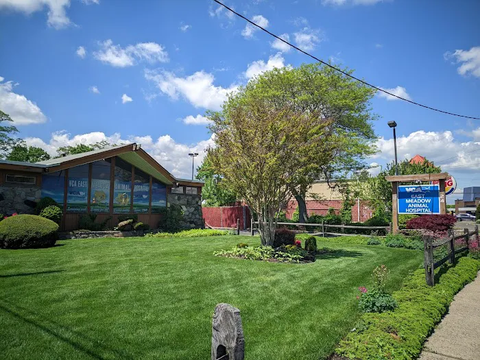 VCA East Meadow Animal Hospital Picture 5