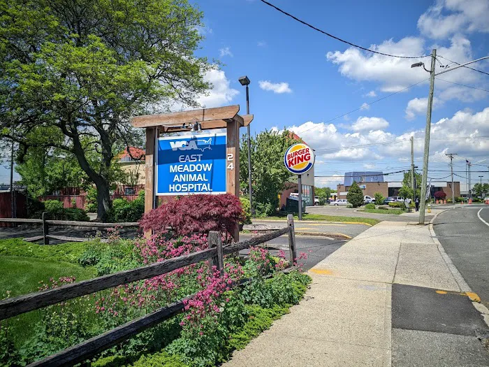 VCA East Meadow Animal Hospital Picture 8