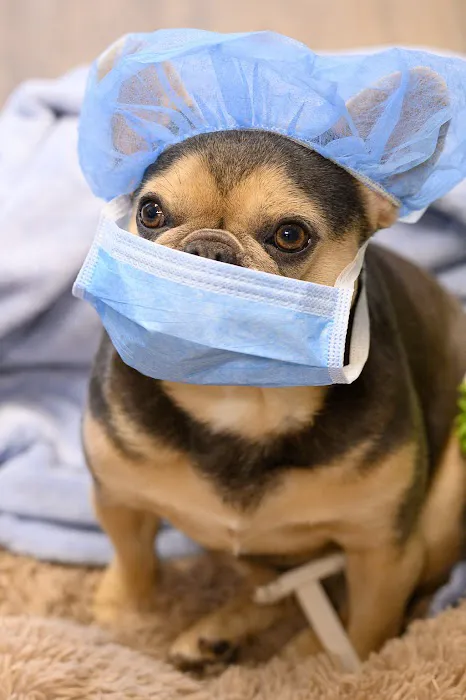Oath Animal Hospital Picture 1