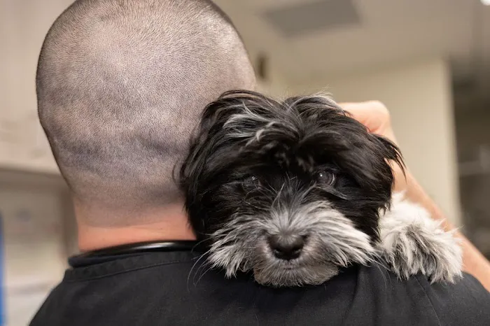 Oath Animal Hospital Picture 4