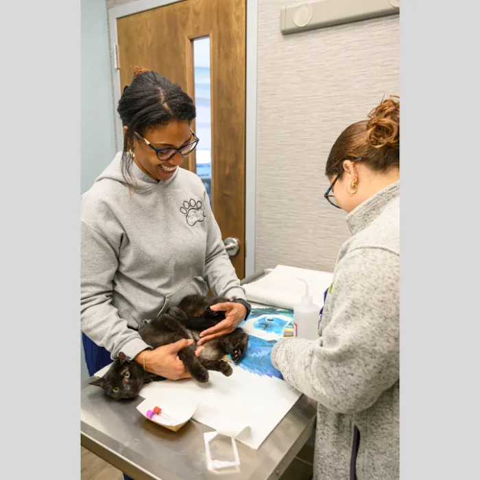 Oath Animal Hospital Picture 9