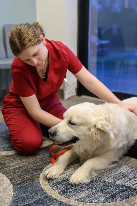 Oath Animal Hospital Picture 7