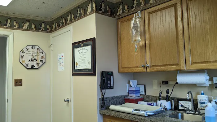 Long Island Animal Hospital Picture 7