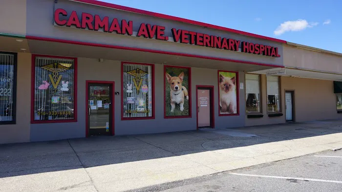 Carman Avenue Veterinary Hospital Picture 5