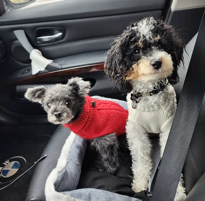 Levittown Animal Hospital Picture 7