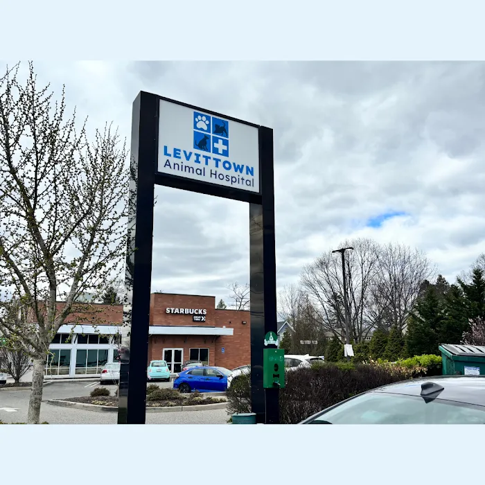 Levittown Animal Hospital Picture 10