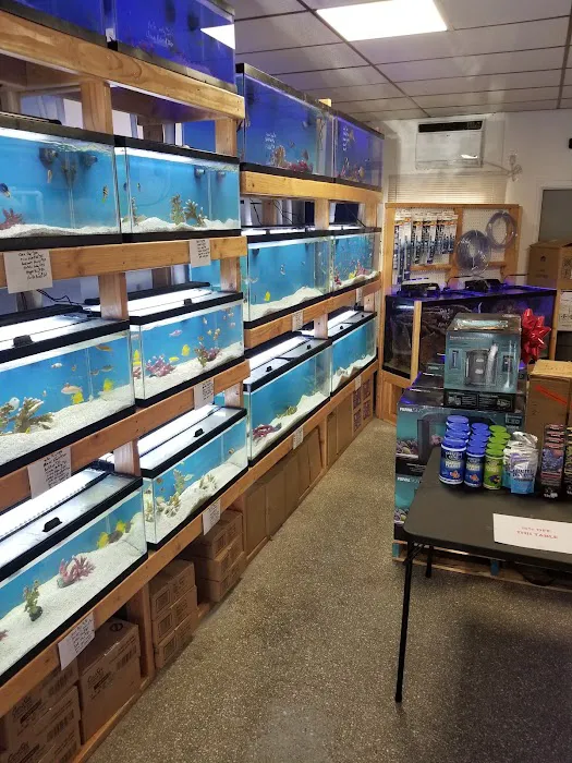St. Pete Saltwater Aquarium Store Picture 1