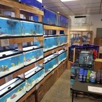 St. Pete Saltwater Aquarium Store ico