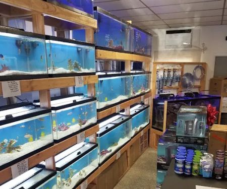 St. Pete Saltwater Aquarium Store