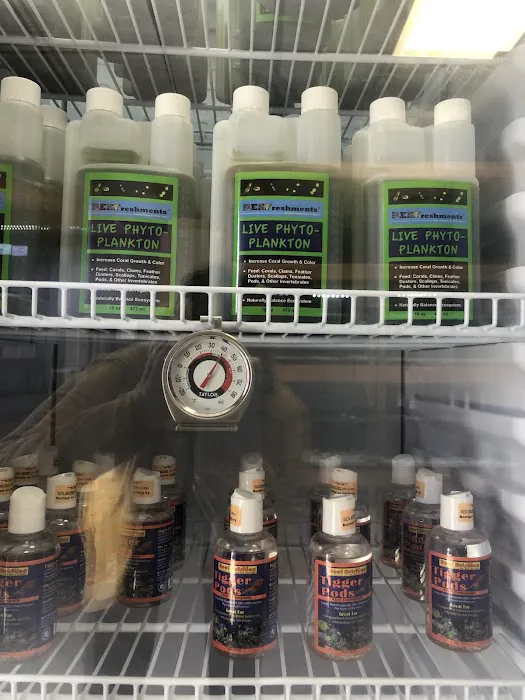 St. Pete Saltwater Aquarium Store Picture 3