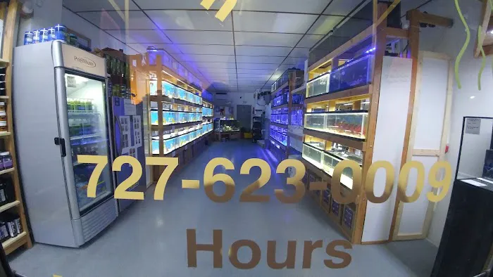 St. Pete Saltwater Aquarium Store Picture 9