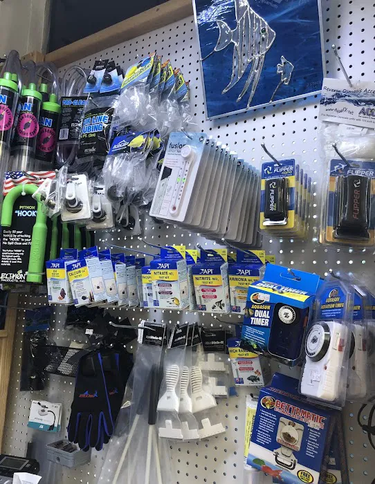 St. Pete Saltwater Aquarium Store Picture 6