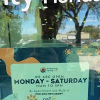 The First Place For Pets ico
