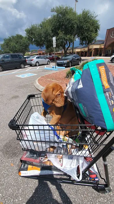 Petco Picture 2