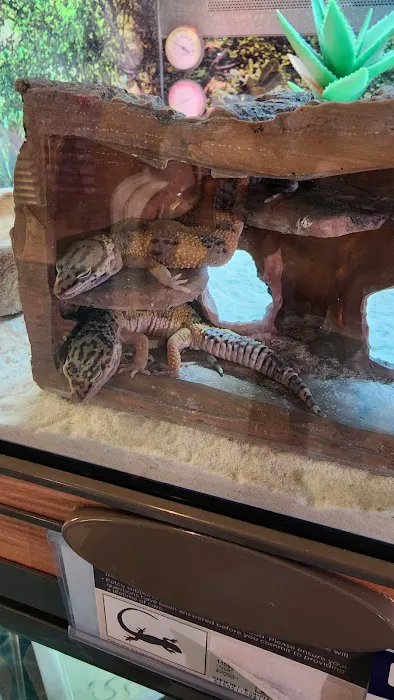 Petco Picture 3