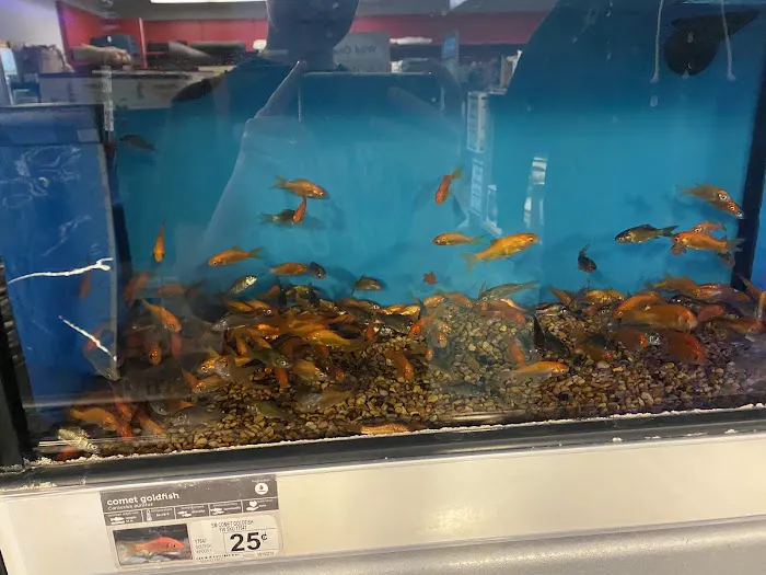 Petco Picture 6