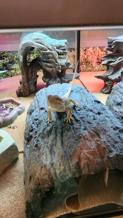 Petco Picture 7