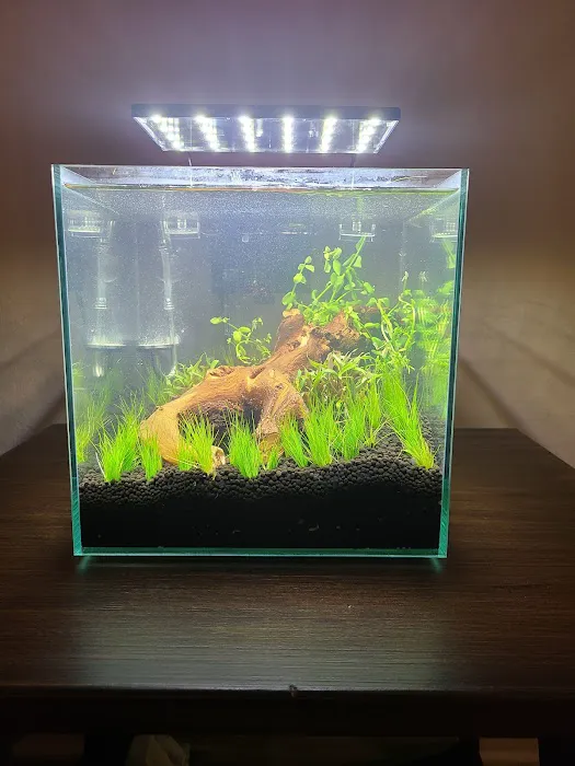 Petco Picture 8