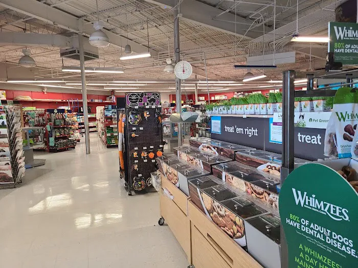 Petco Picture 10