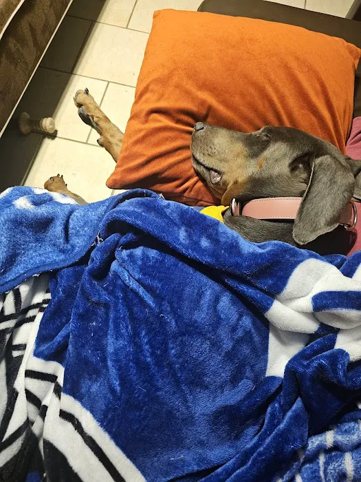 VCA Animal Hospitals Picture 2