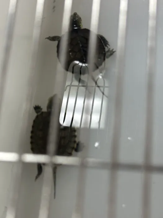 Animal Ventures Picture 2