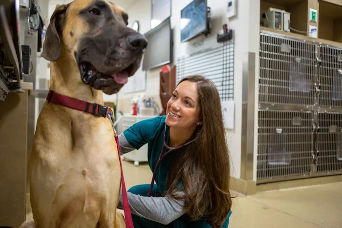 Veterinary Referral & Emergency Center of Westbury Picture 9