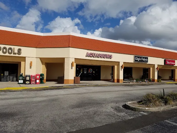 The Aquarium & Fish Store Picture 1