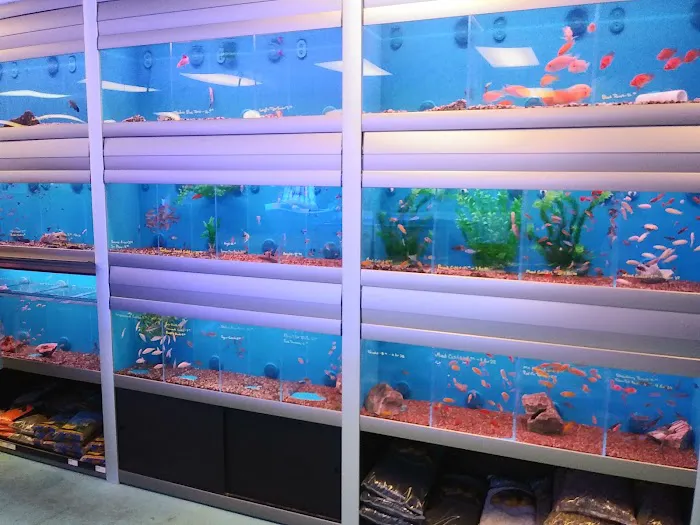 The Aquarium & Fish Store Picture 8