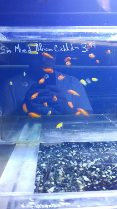The Aquarium & Fish Store Picture 3
