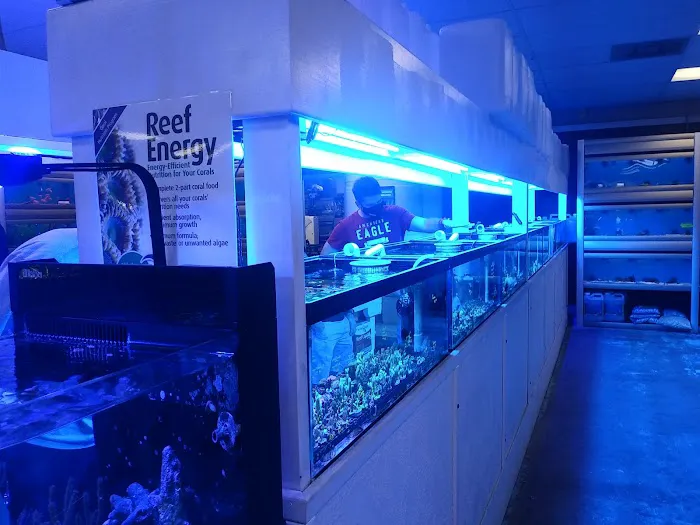 The Aquarium & Fish Store Picture 6