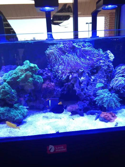 The Aquarium & Fish Store Picture 7