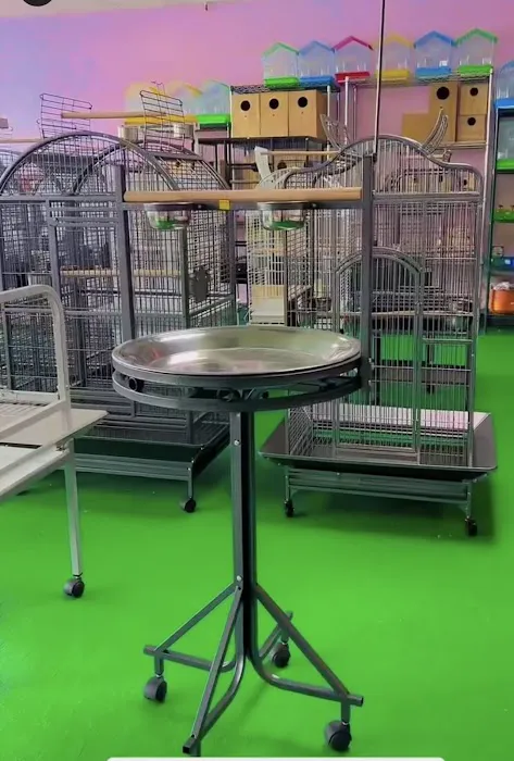 Kimberly's Pet Shop Picture 1