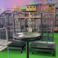 Kimberly's Pet Shop ico