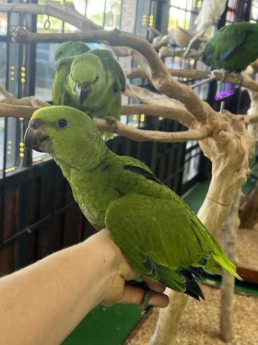 Kimberly's Pet Shop Picture 8