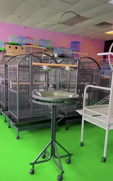Kimberly's Pet Shop Picture 9