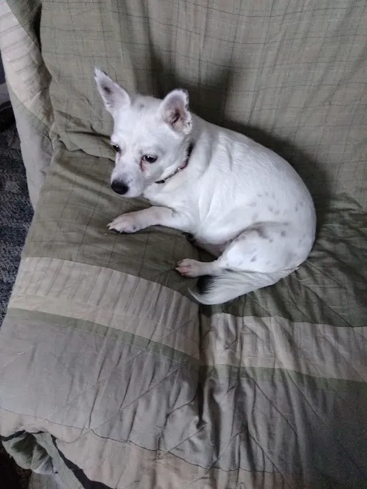 Spencer Animal Hospital Picture 8
