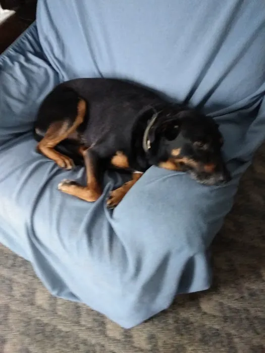 Spencer Animal Hospital Picture 4