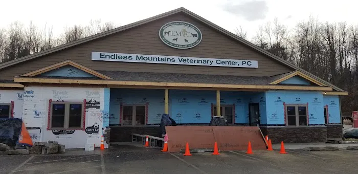 Endless Mountains Veterinary Center, PC - Owego Veterinary Hospital Picture 2