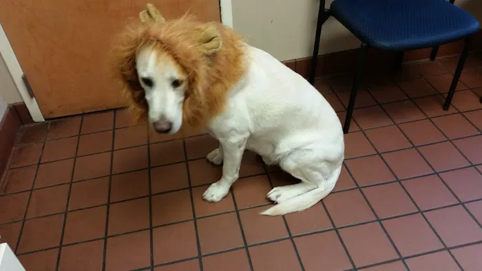 Endless Mountains Veterinary Center, PC - Owego Veterinary Hospital Picture 4